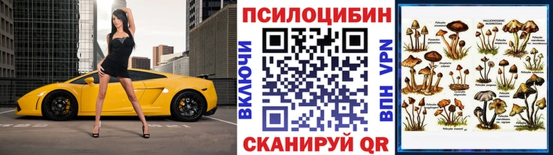 цены наркотик  Покров  Галлюциногенные грибы MAGIC MUSHROOMS 